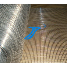 Welded Wire Mesh in Low Price, Electro Galvanized Welded Wire Mesh